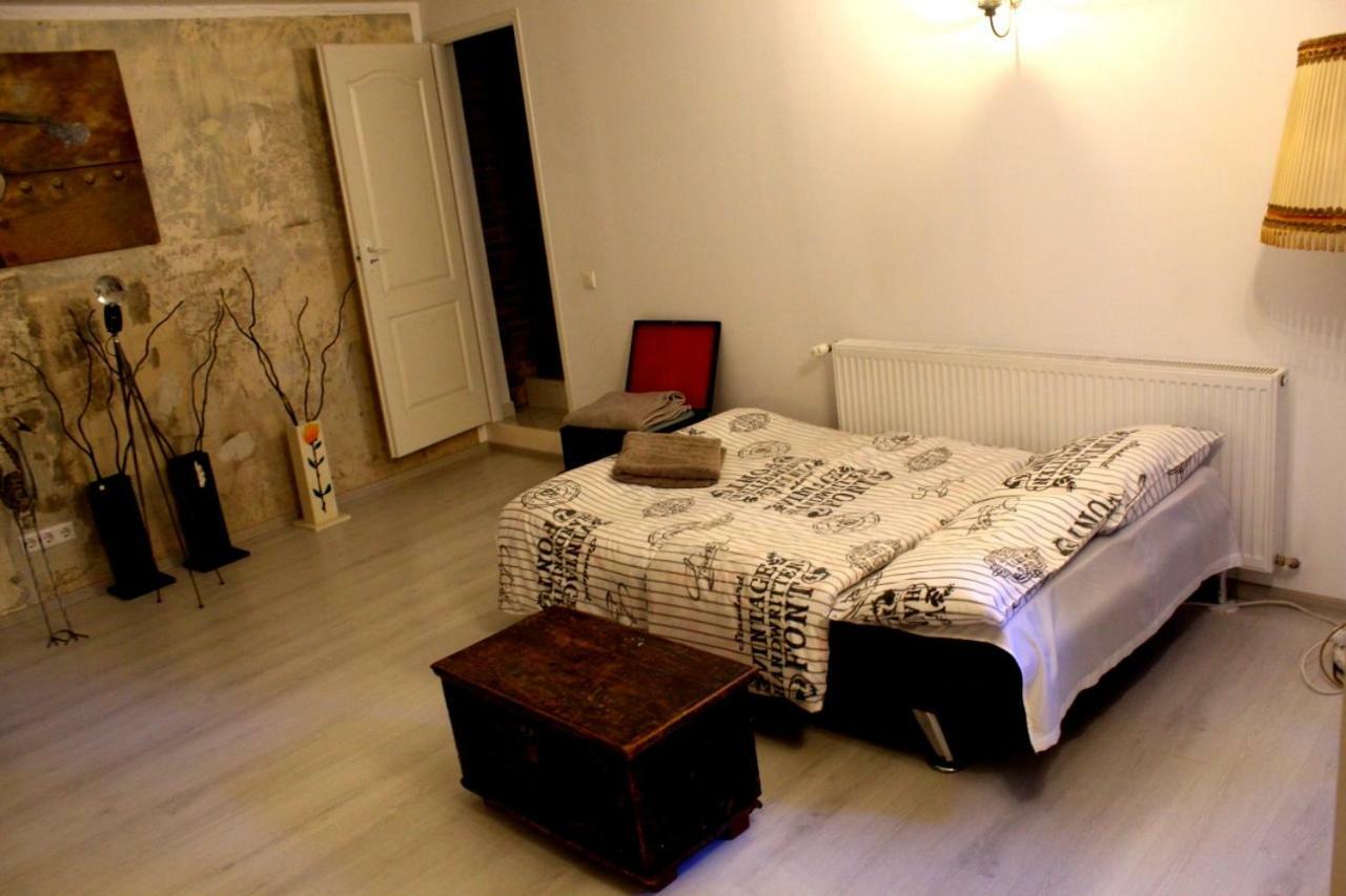 Mansion Josephina Lejlighed Cluj-Napoca Eksteriør billede